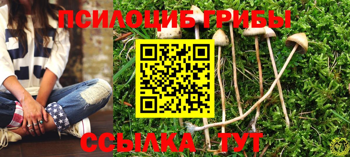 Галлюциногенные грибы мухоморы  Псилоцибиновые грибы Cubensis  наркотики  Вход с VPN  Краснокаменск 