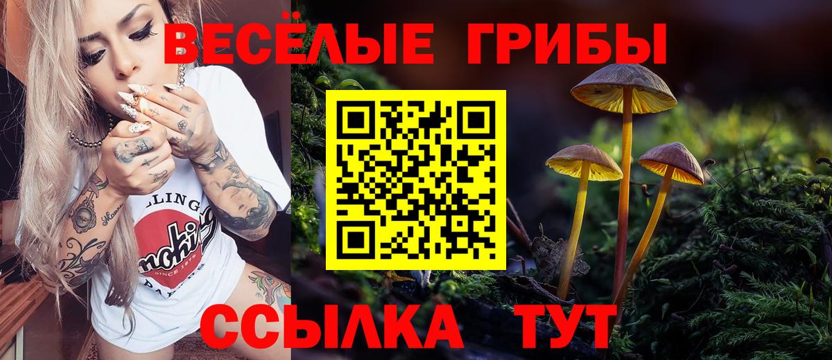 Псилоцибиновые грибы Magic Shrooms Краснокаменск